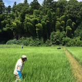 江口博幸 | エグチライスファーム