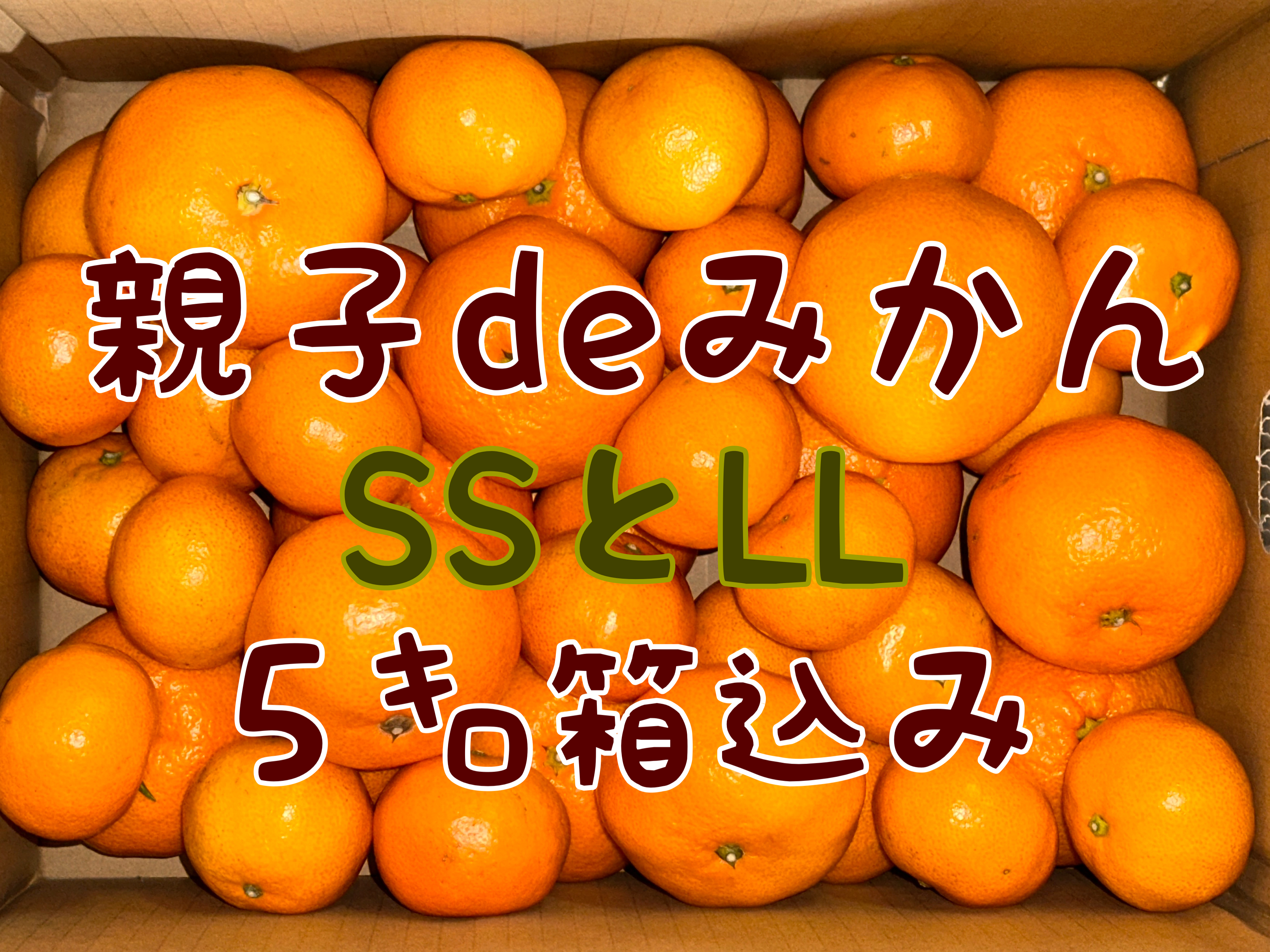 こたつみかん 〝親子deみかん〟 SSとLLサイズ混合 5kg箱込（わけあり