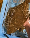スキンレスフィーレ(皮なし半身×2) 河内369式養殖 ヒラメ あつめしのタレ付