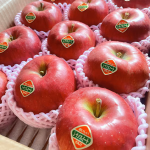 岩手県産リンゴ　寺沢さんのシナノスィート　