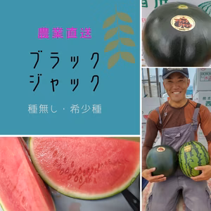 希少種ブラックジャック(種無し)