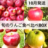 【園主お勧め】10月 旬のりんご食べ比べBOX♪