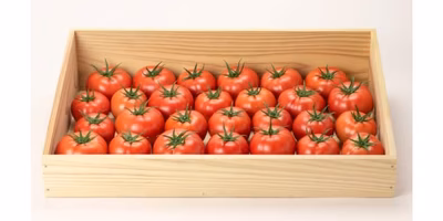 明日、誰に会いに行く？ポケマル収穫祭出店生産者の商品まとめ