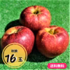 ≪限定販売≫【送料無料】りんご（秋映）16玉箱入