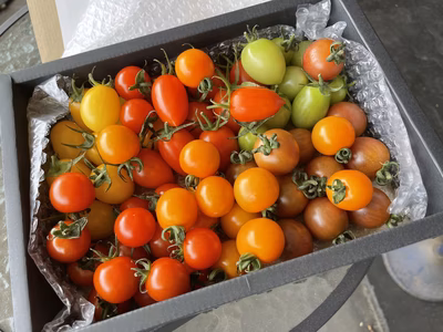 みんなの投稿の画像