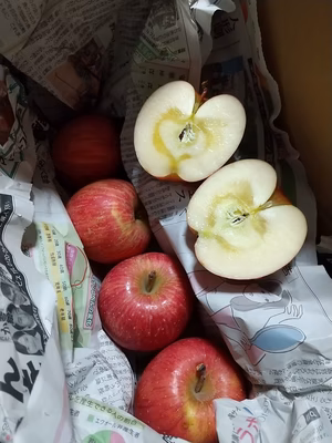 みんなの投稿の画像