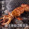肝が旨い！真いかのゴロ干し(丸干し)