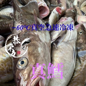 鍋の季節‼️秋田県産　寒タラ急速冷凍BOX　［真鱈］‼️