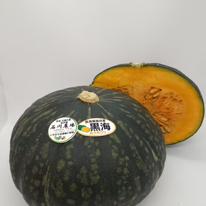 完熟ホクホク濃厚　冬至カボチャ 約5㎏（2～3玉）