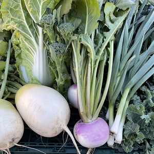 【2024福袋】農家のお任せ真冬の7種の野菜セット　〜1つ増量等します〜　