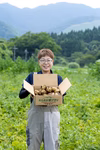 【新じゃが】　兵庫県但馬産メークイン