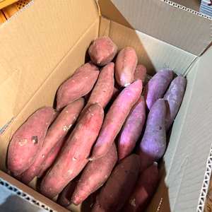 新芋‼️ 紅はるか✨一箱限定‼️
