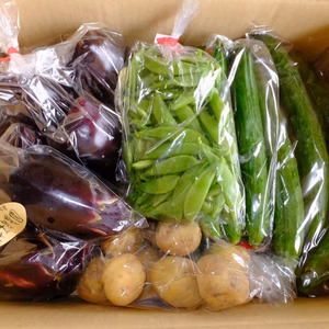 新潟の雪深い所で「じじー、ばばーが育て野菜セット（茄子、他1種類以上」