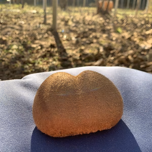 【春まつり価格】ミツバチからの贈り物ハニーキウイ ほうろく〈横綱〉