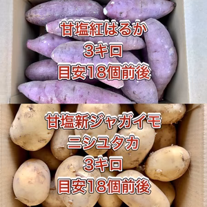 【鹿児島産】甘塩野菜セット2品目^_^