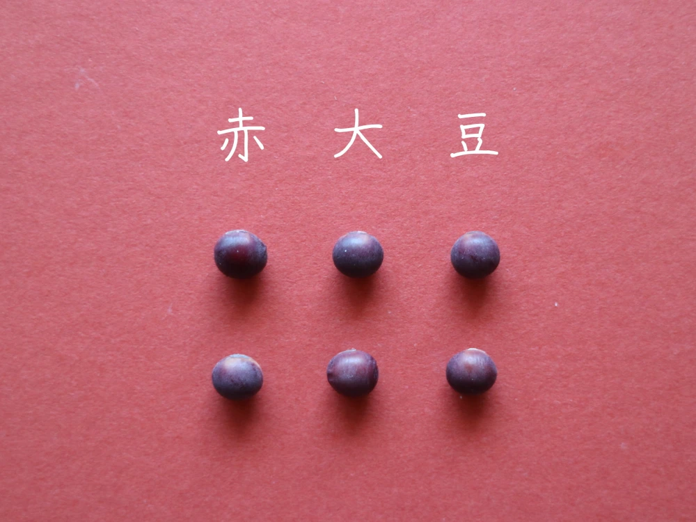 【赤大豆　２００g】料理に彩りを添える大豆です