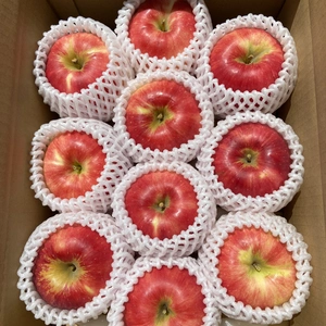 【8月下旬発送予定】シャキシャキ❗️希少りんご！さんさ 約２kg～ 信州りんご 