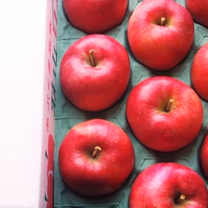 かぐや姫印　特別栽培完熟秋茜りんご3Lサイズ５ｋｇ