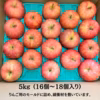 りんご ふじ 3kg 5kg 10kg 訳あり 家庭用  美味しいリンゴ 