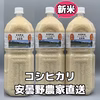 R3年産・新米・ペットボトル【コシヒカリ3.6k～7.2k】安曇野一等米