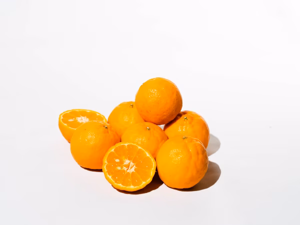 【小玉（Sサイズ）で濃厚】熟成　今津ポンカン