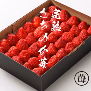 完熟さちのか苺 1kg