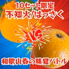 高糖度はっさく+不知火セット 減農薬 濃い 甘い 八朔 デコポン 産地直送