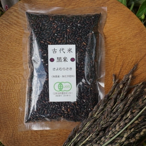 ３ｋｇ～　古代米　黒米　農薬不使用　有機肥料使用　有機ＪＡＳ