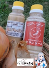 自然栽培♪新玉葱＋無添加ドレッシング2種セット
