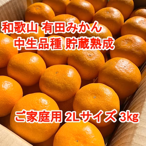 【ご家庭用・中生品種・２Ｌサイズ】和歌山有田産みかん≪3㎏≫　★１月７日以降発送