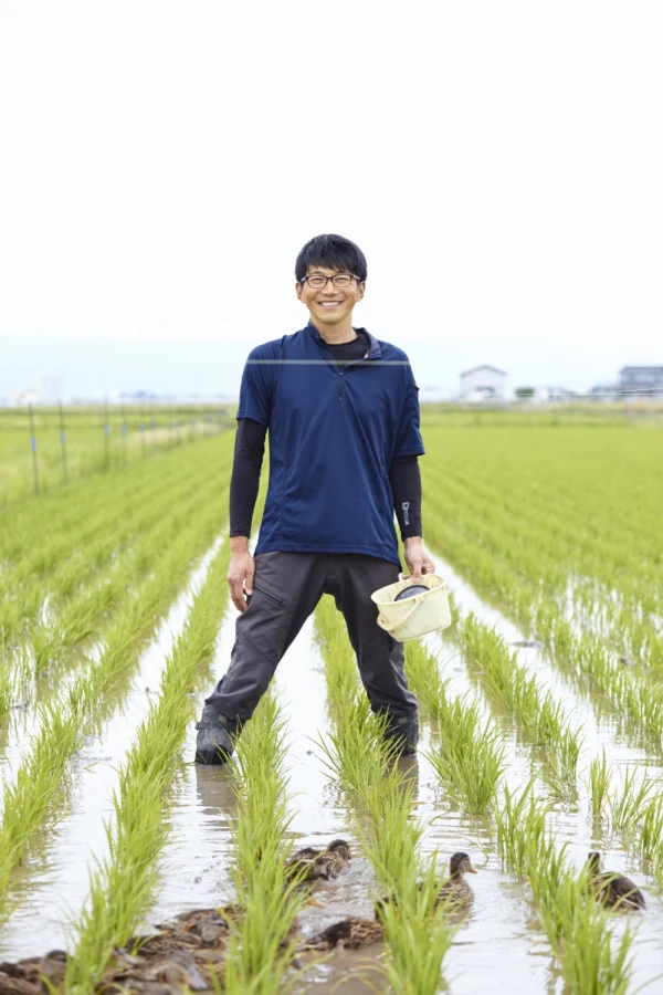 江戸時代から続く農家の11代目が作るブランド米、特別栽培『つや姫』