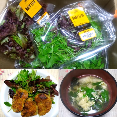 みんなの投稿の画像