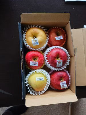 みんなの投稿の画像