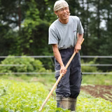 萩原紀行 | のらくら農場