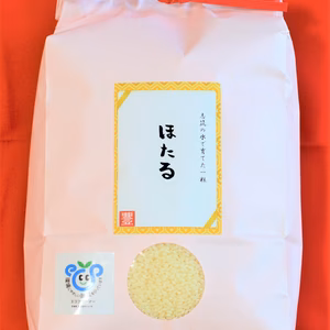 【ポケマル夏ギフト】受注精米10kg　茨城県産ミルキークイーンほたる