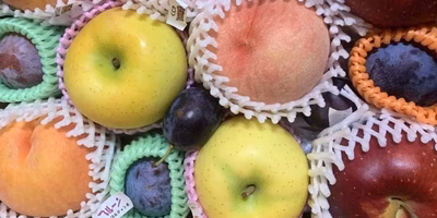 「はじめまして！」旬のフルーツボックスで、ドキドキ初対面が待ってるよ