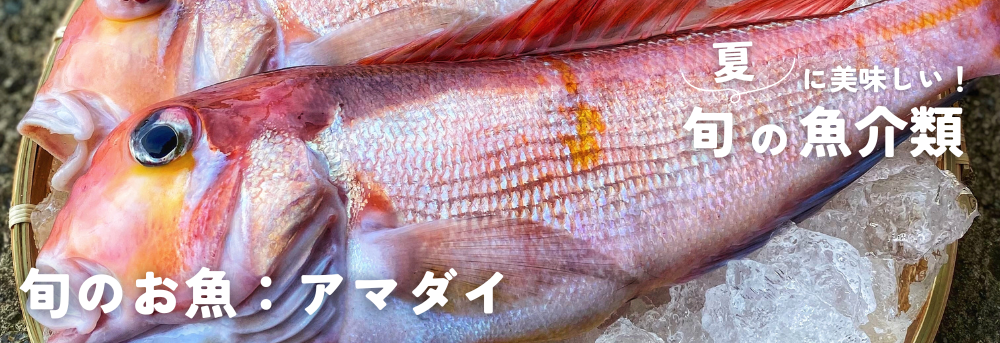 夏に旬の魚介類 アマダイ