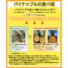 【送料無料】完熟スナックパイン2キロ（合計3玉）！沖縄県今帰仁産パイナップル