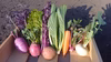 カラフル野菜☆いいとこ取りセット☆