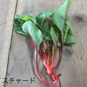 産直　彩りサラダセット　クール便