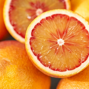 ブラッドオレンジモロ　特別価格　