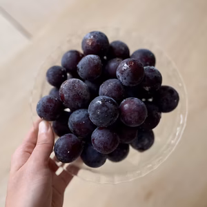 【冷凍ブドウ】ナガノパープル【コンポートやジャム作りに】[FNp]