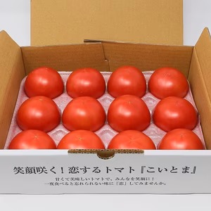 【こいとま】セレブスイート 約1kg入り