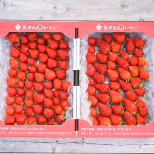 2kg　お買い得！あまおう 朝どり新鮮完熟苺