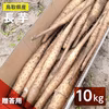 【贈答用】砂丘ながいも　長芋　とりたて 3kg 5kg 10kg　山芋　とろろ