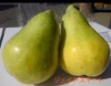 甘くとろける洋梨✨『ジェイドスイート』家庭用