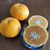 爽やか~木成り甘夏　減農薬.防腐剤.ワックス不使用‼