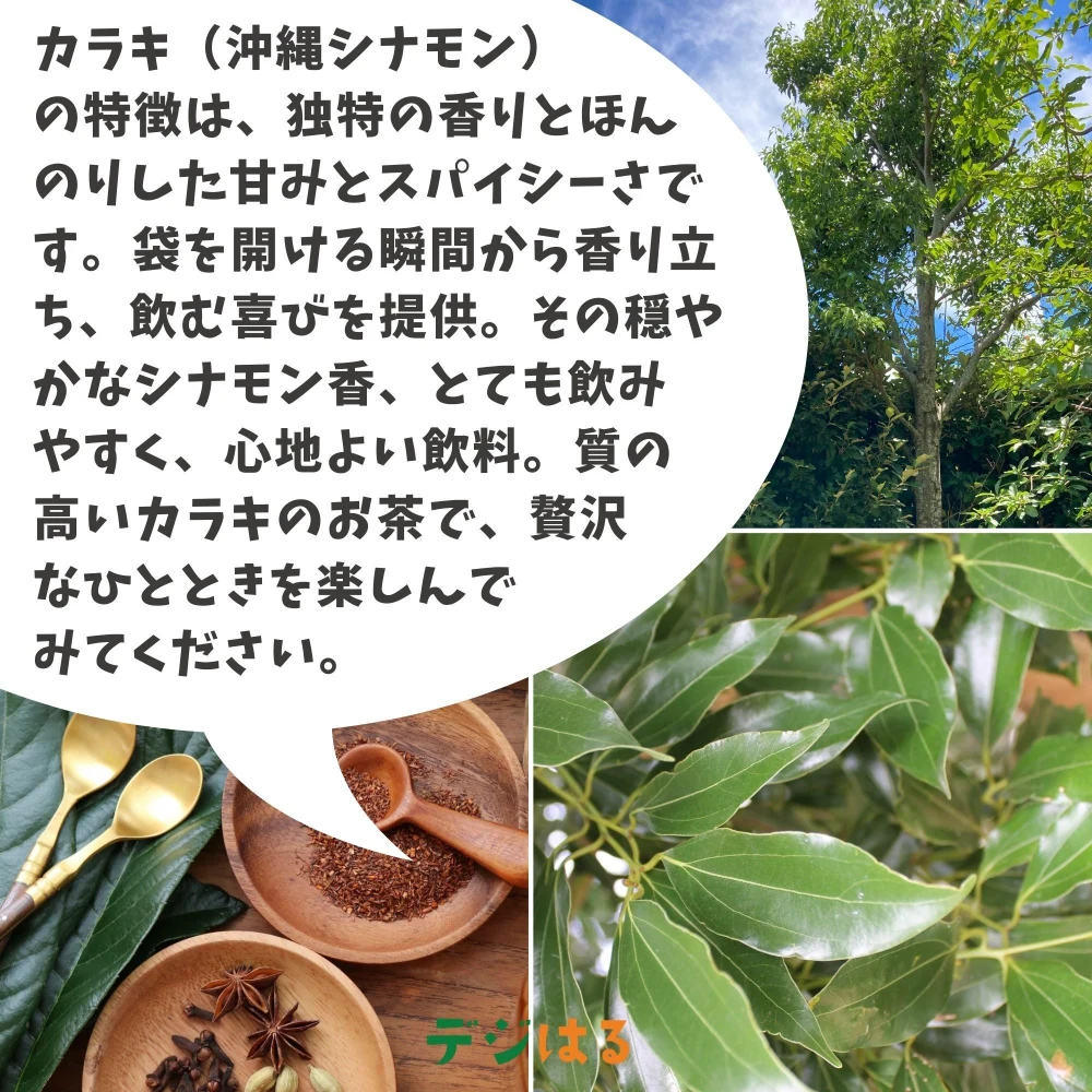【送料込】からきのお茶｜沖縄産（無農薬）