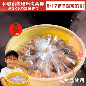 8/17まで大幅割引！大容量 無添加 紀州南高梅  梅干 和歌山