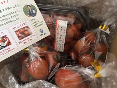 みんなの投稿の画像